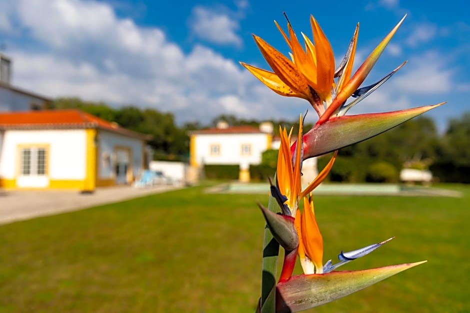 Quinta do Pé Descalço Guesthouse Sintra