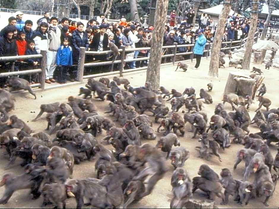 Kannawaso