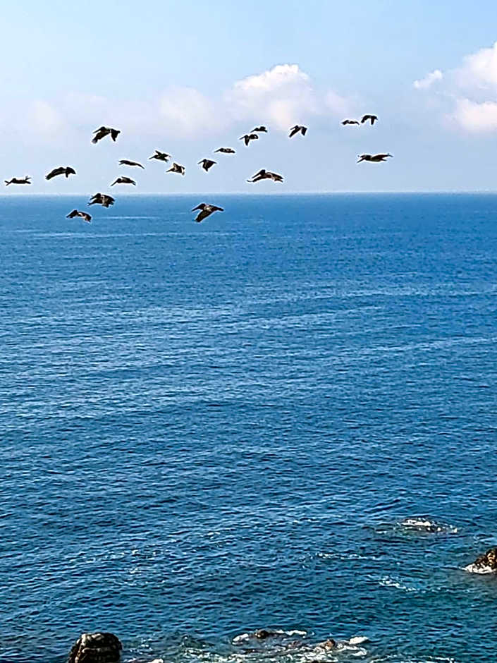 Hotel Luz de Mar ' right on the beach