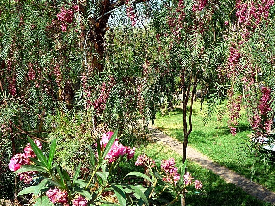 Les Jardins De Skoura
