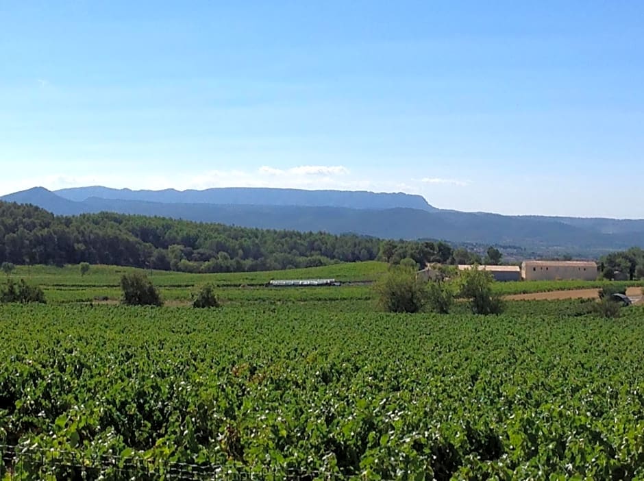 jardin d'antan