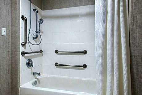 Studio, 1 Queen Bed with Sofa bed, Accessible, Non Smoking (Mobility w/ Tub)
