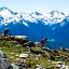 Pinnacle Hotel Whistler