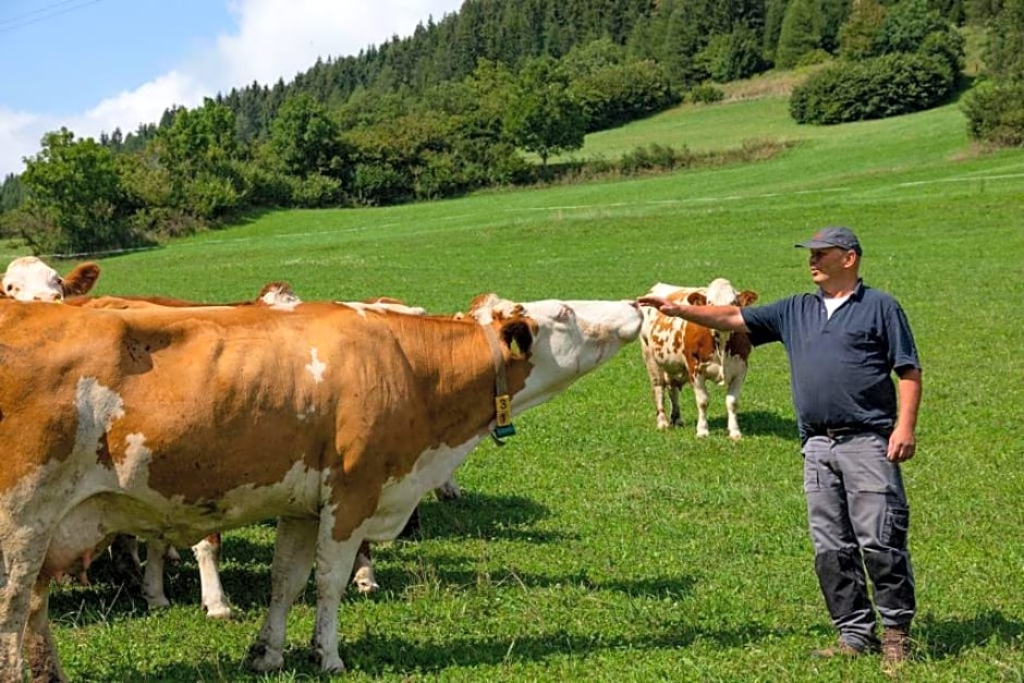 Brunner - Ferienwohnung im Hühnerhotel