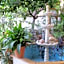 LOTUS GARDEN HOSTEL