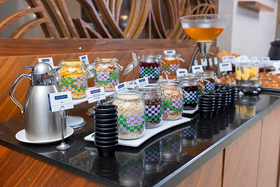 Anemon Bursa Otel
