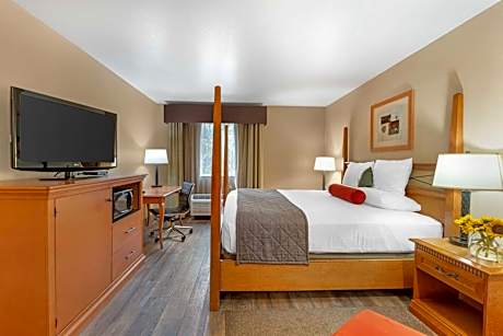 1 KING BED,NSMK,HI SPEED,MICFRG,COFMKR,HAIR,IRN/BRD,FULL BREAKFAST