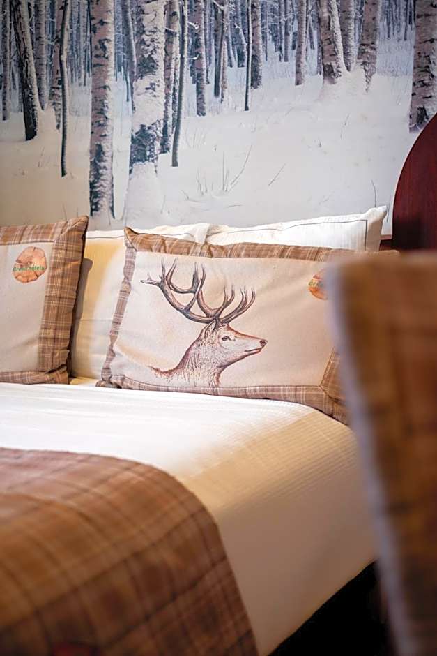 Green Hotels Confort Paris 13