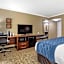 Comfort Inn Sunnyvale - Silicon Valley