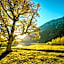 aja Ruhpolding