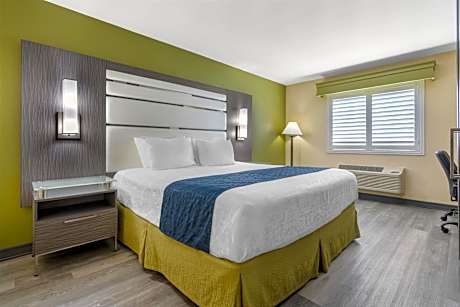 King Room - Pet Friendly/Non-Smoking
