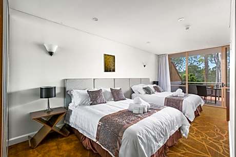 Deluxe Double or Twin Room with Balcony