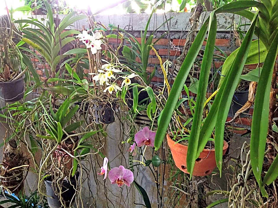 Tonkong Guesthouse & Restaurant