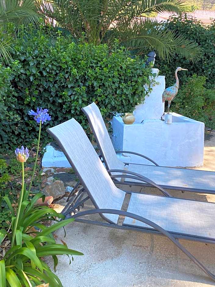 HOTEL LUZ ALMONASTER