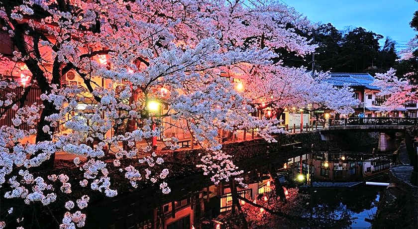 Kinosaki Onsen Oyado Seri