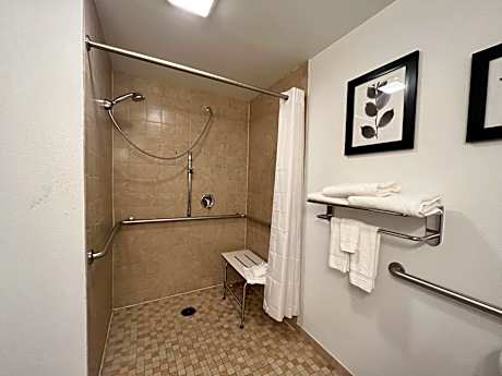 Executive King Room with Roll In Shower - Disability Access/Non-Smoking
