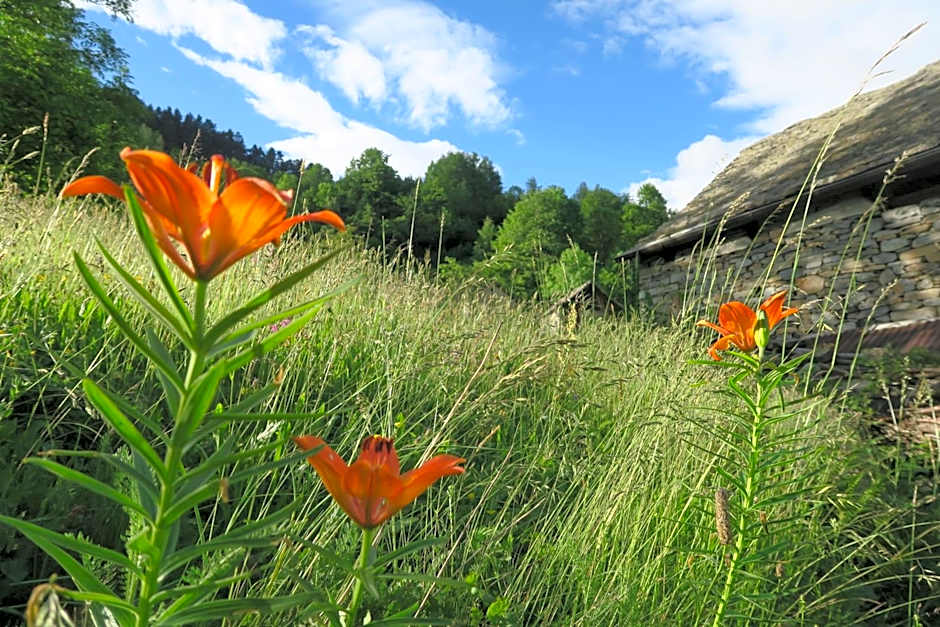 Rooms Alpe Veglia-Varzo