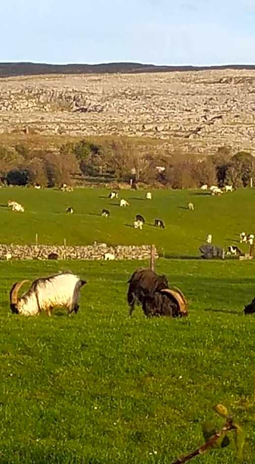 Burren Rock Farmhouse B&B