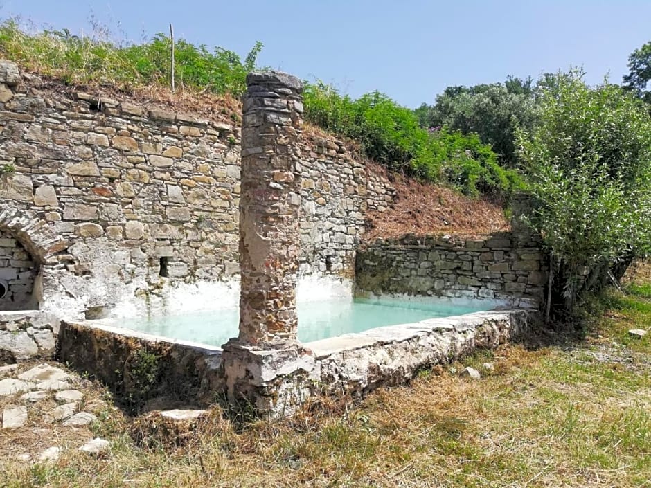 FattoriaTenuta Santa Caterina