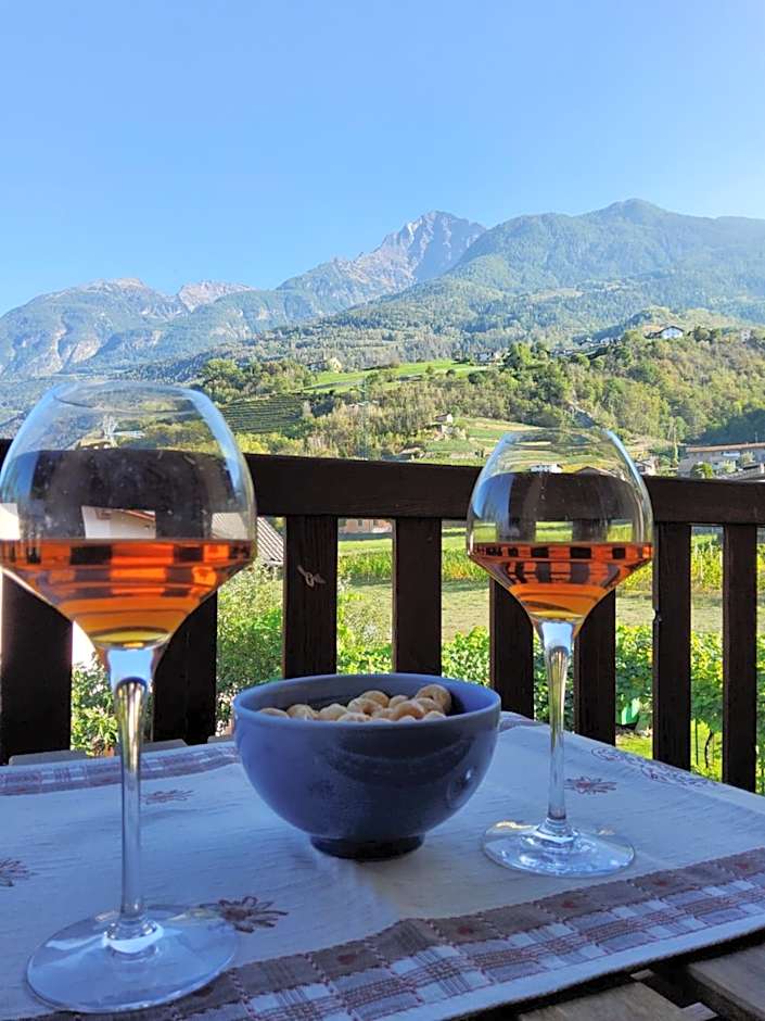 La Vigne de Papagran