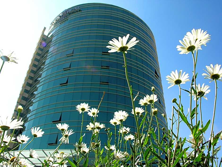 Suites Camino Real