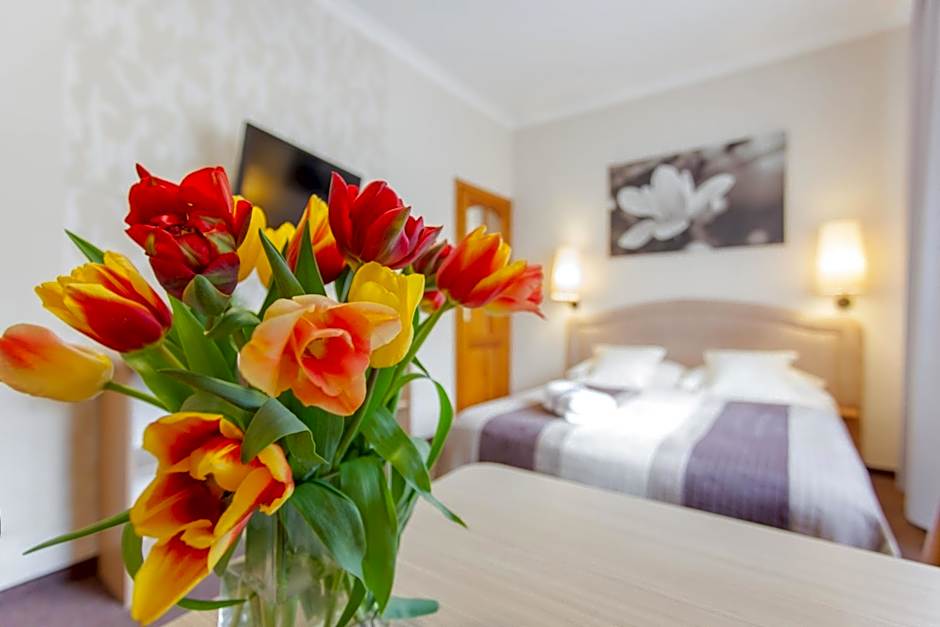 Villa Anna - Noclegi Rooms - FREE parking, taras, 1500m do Starówki