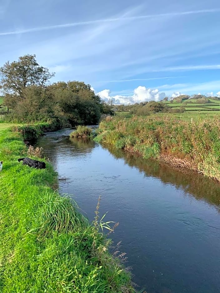 The Reindeer Retreat Daisy Double