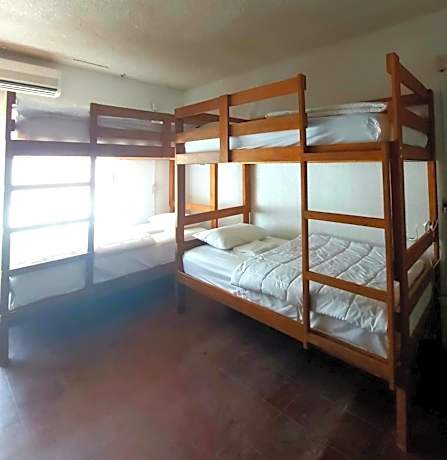 Bed in 8-Bed Mixed Dormitory Room