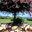 Hotel Stelle Marine