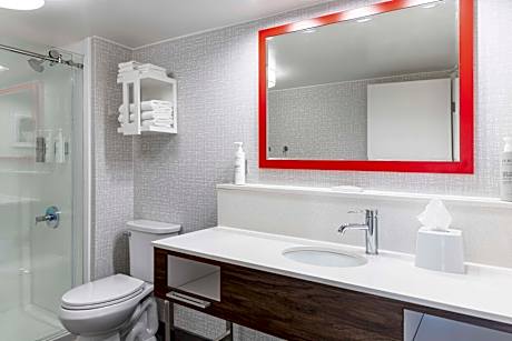 1 King Bed Suite With Queen Sofa Nonsmoking