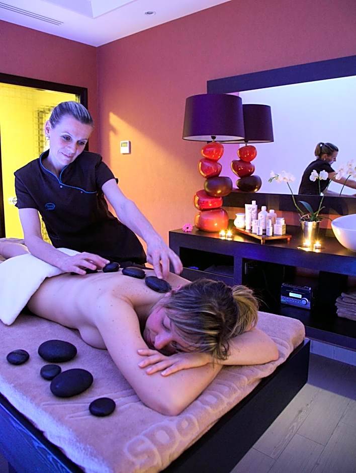 Hôtel Spa Du Béryl