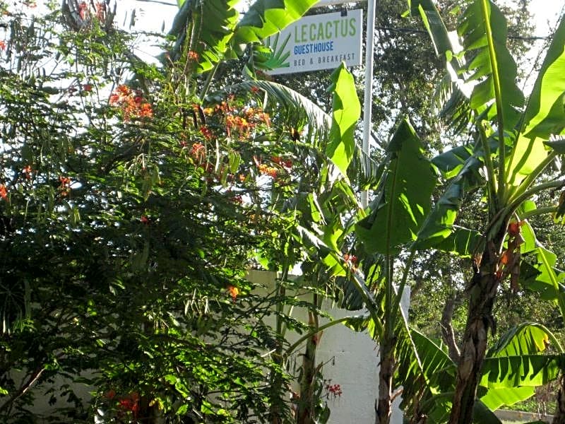 Le Cactus Guest House