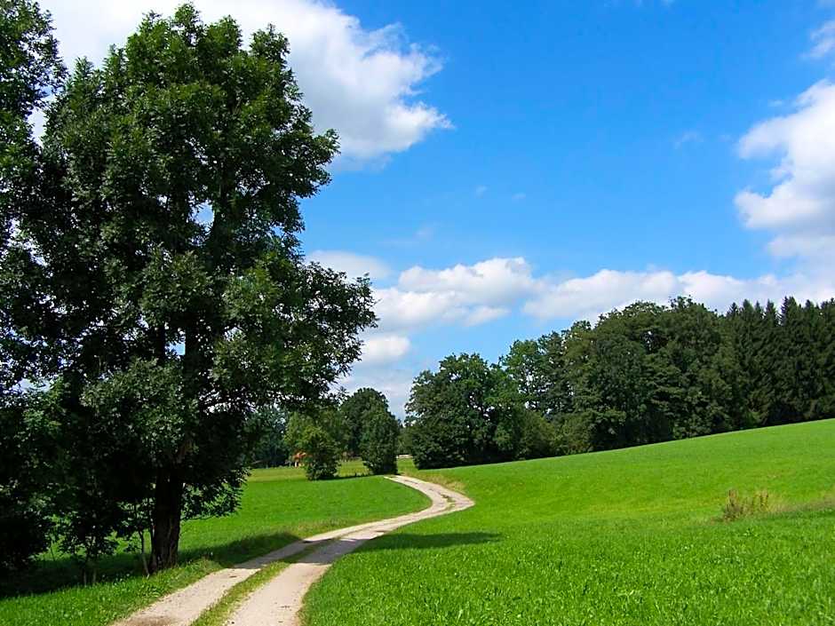 Der Blankhof "Back to Roots"