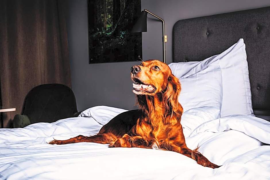 Hotell Södra Berget