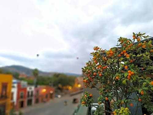 Casa Tierra Negra