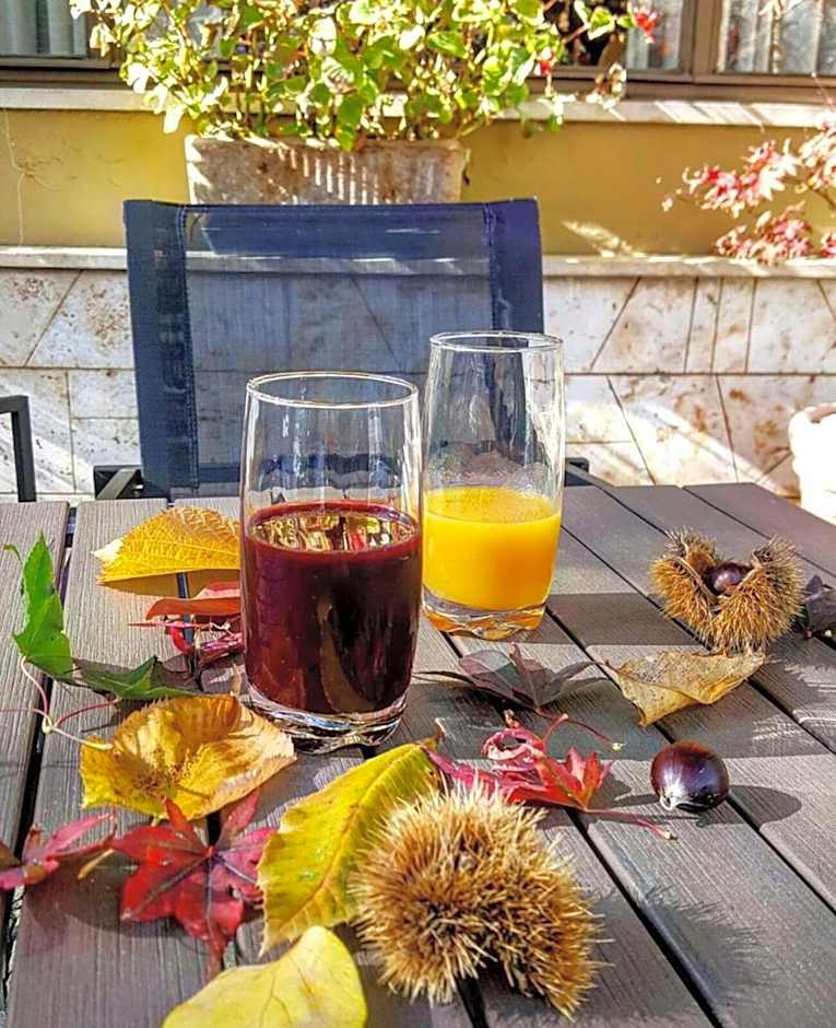 Hotel Delle Ortensie