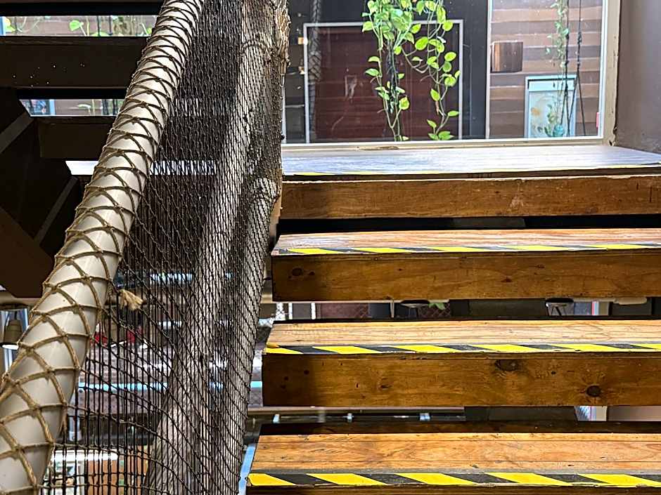 Hotel Kavia 5th Avenida