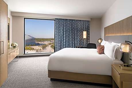 Luxury Suite King Hearing Accessible