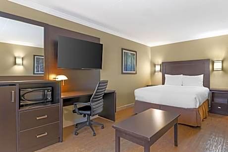 1 Queen Bed Non-Smoking Second Floor Wi-Fi Sofabed Work Desk Microwave Refrigerator Full Breakfast