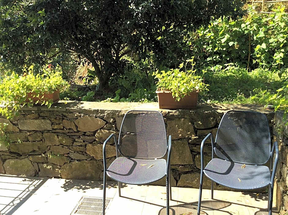 Hotel Il Saraceno