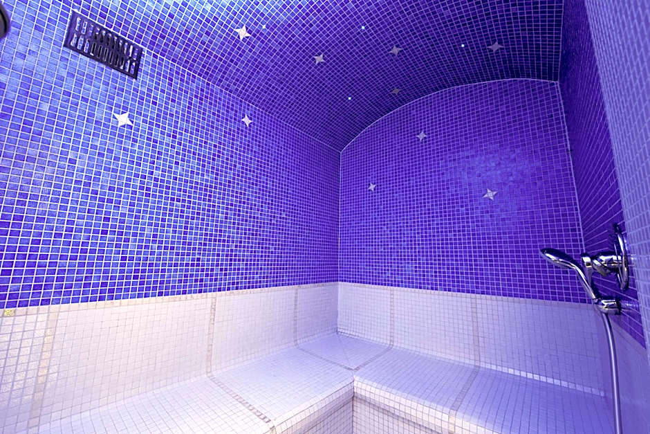 Best Western Au Cheval Blanc Mulhouse Nord