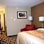 Comfort Inn & Suites Edmonton International Airport
