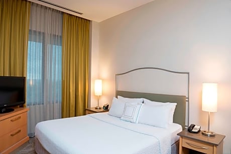 Suite, 1 King Bed with Sofa bed (1 King Bed and 1 Double Sofa Bed)