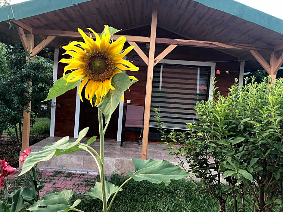 Cirali Armira Bungalow