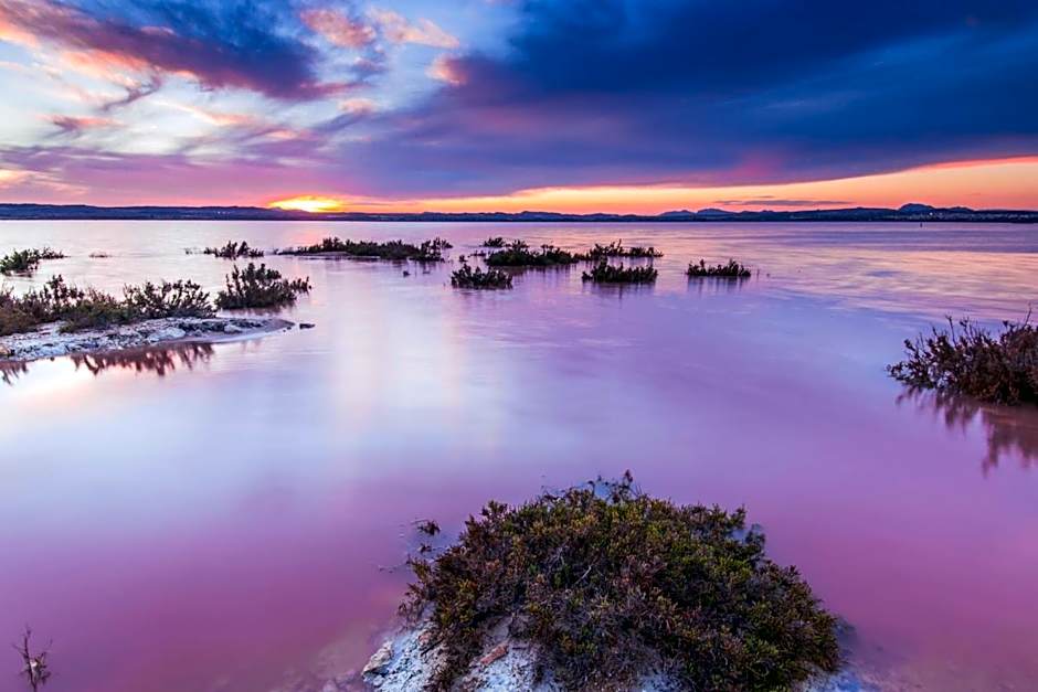 Semi-detached duplex house with swimming pool