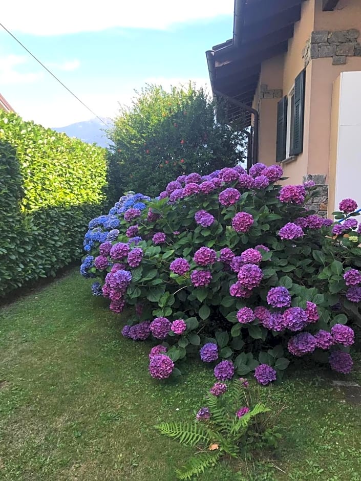 Al Chiar di Luna B&B Valtellina