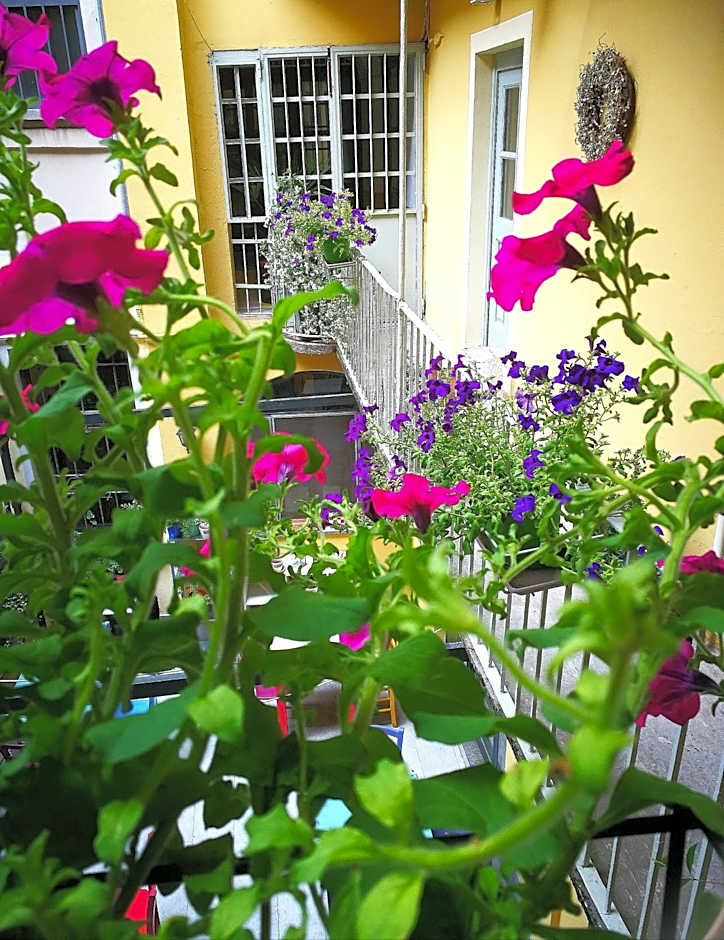 Corte delle Camelie Bed and Breakfast