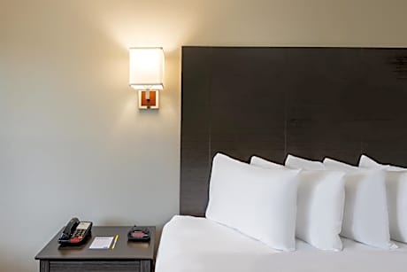 King Room - Non-Smoking