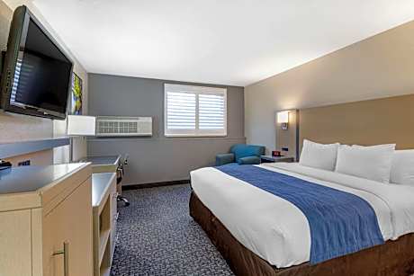 Standard Room, 1 King Bed, Non Smoking