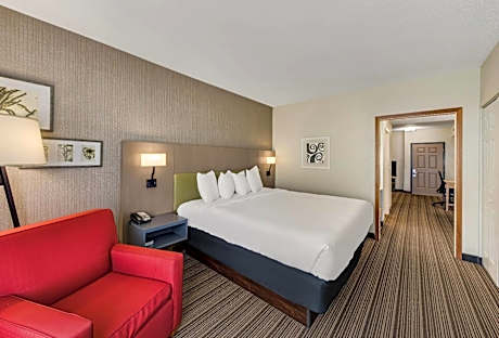 One-Bedroom King Suite with Sofa Bed - Non-Smoking